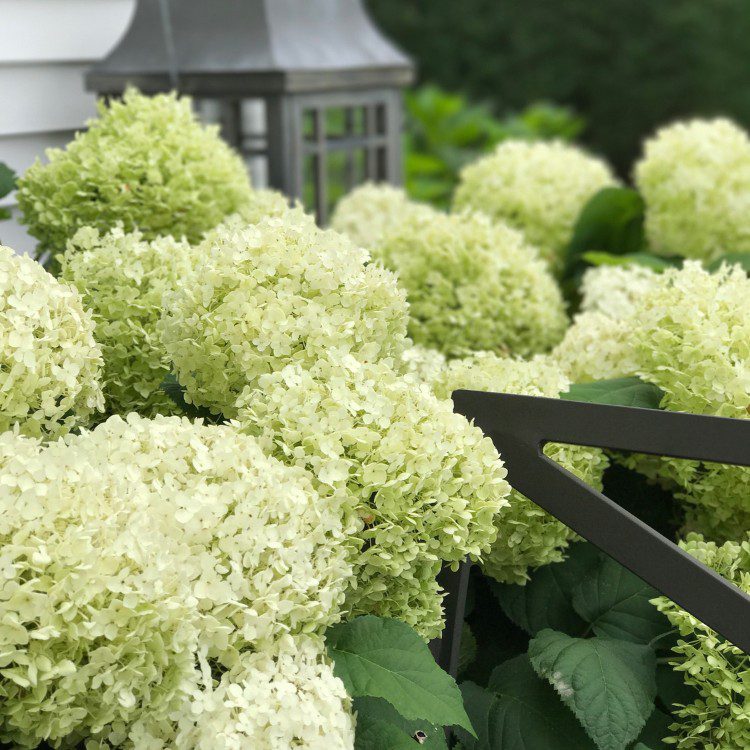 Renovation services in Westport, CT Renovation services in Westport, CT